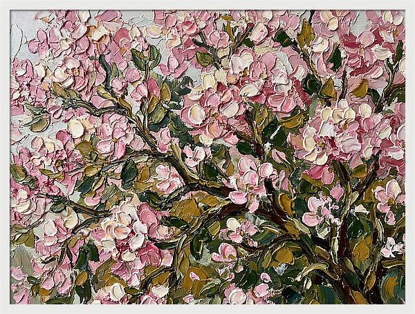 Blossom Tree In Bloom
