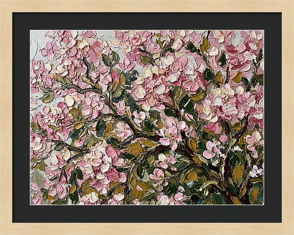 Blossom Tree In Bloom
