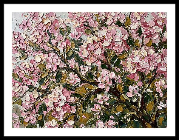 Blossom Tree In Bloom