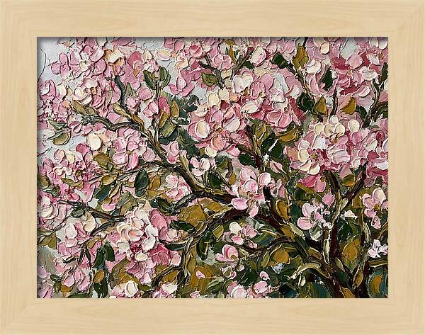 Blossom Tree In Bloom
