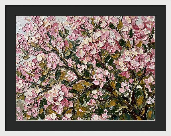 Blossom Tree In Bloom