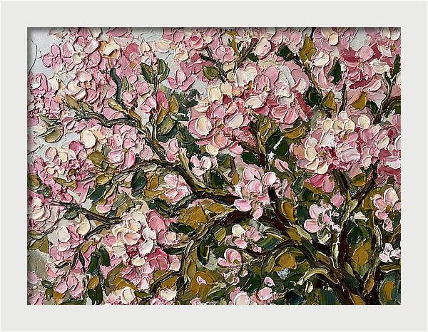 Blossom Tree In Bloom