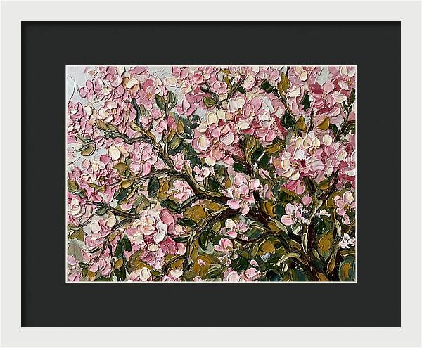 Blossom Tree In Bloom