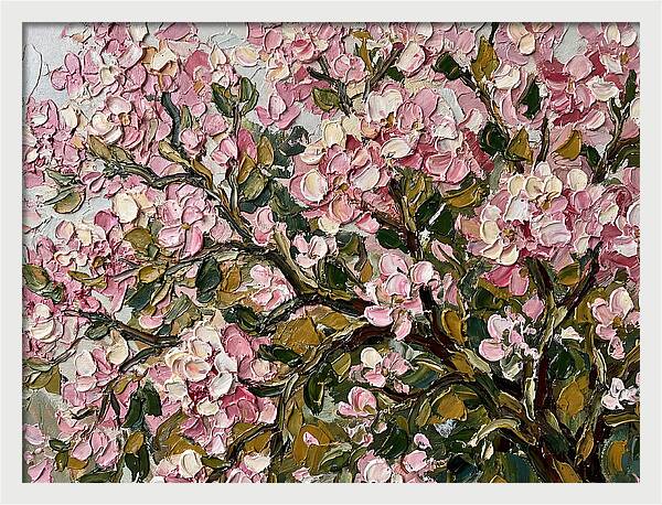Blossom Tree In Bloom