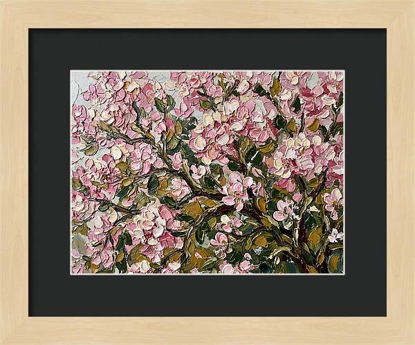 Blossom Tree In Bloom