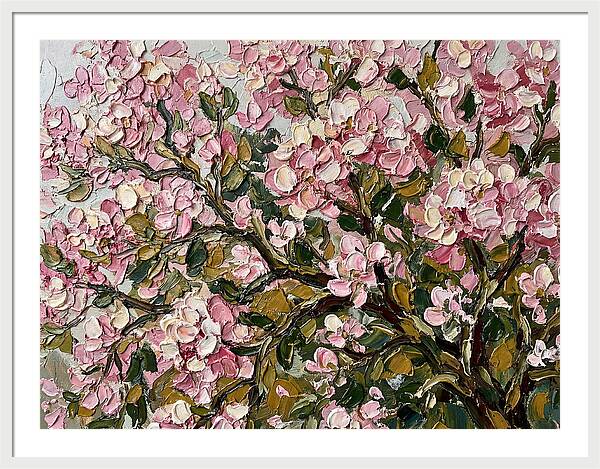 Blossom Tree In Bloom