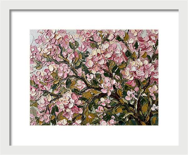 Blossom Tree In Bloom