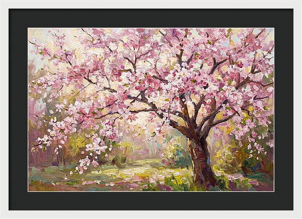 Blossom Tree In Full Bloom