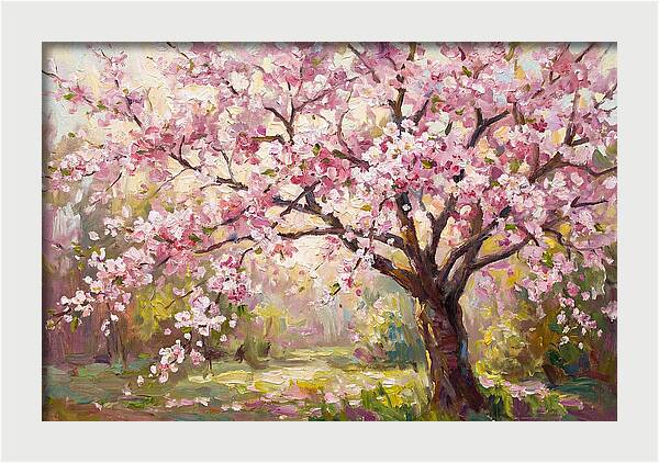Blossom Tree In Full Bloom
