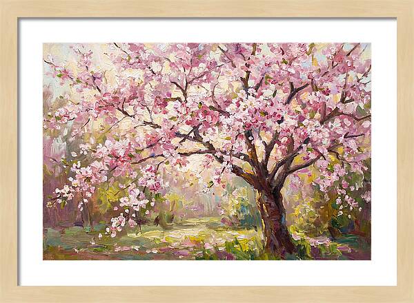 Blossom Tree In Full Bloom