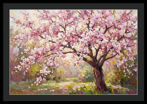Blossom Tree In Full Bloom