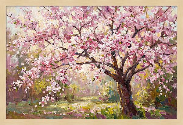 Blossom Tree In Full Bloom