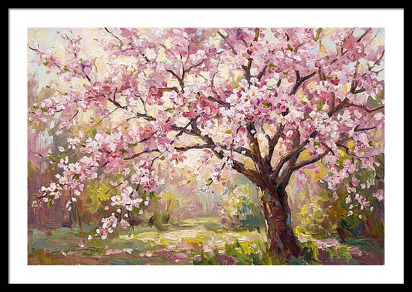 Blossom Tree In Full Bloom