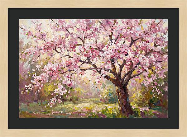 Blossom Tree In Full Bloom