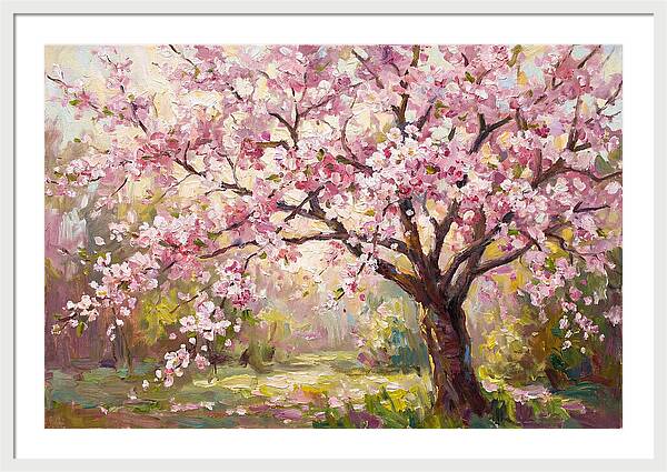 Blossom Tree In Full Bloom