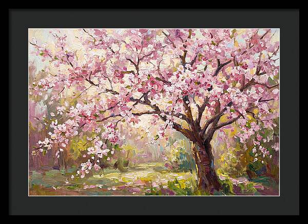 Blossom Tree In Full Bloom
