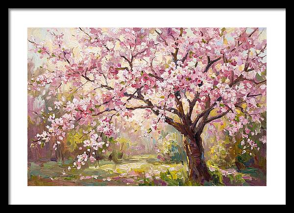 Blossom Tree In Full Bloom