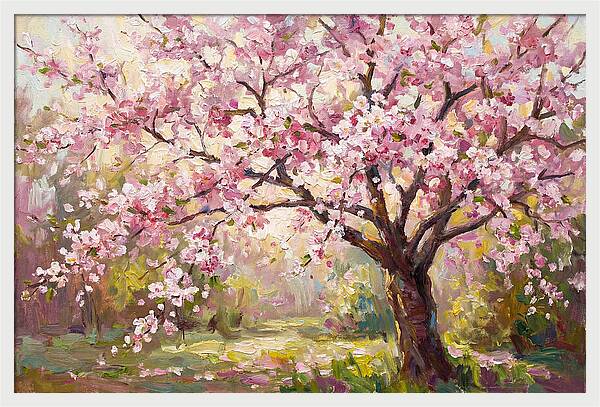 Blossom Tree In Full Bloom