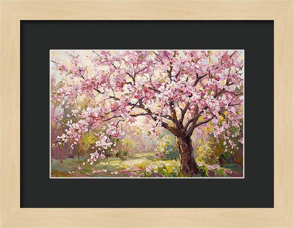 Blossom Tree In Full Bloom