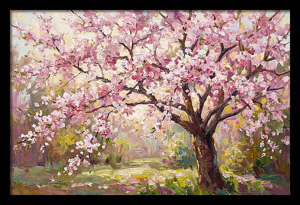Blossom Tree In Full Bloom