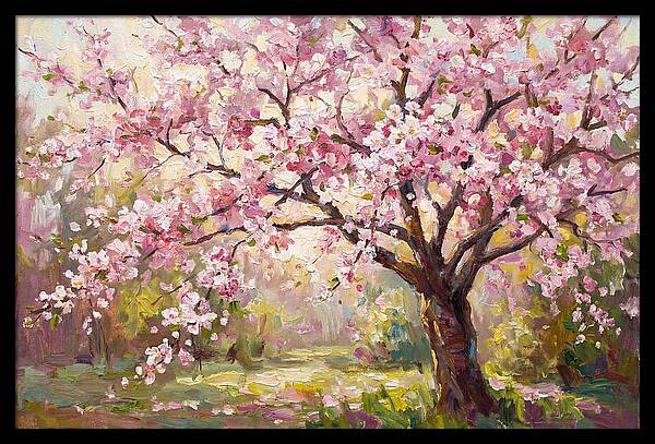 Blossom Tree In Full Bloom
