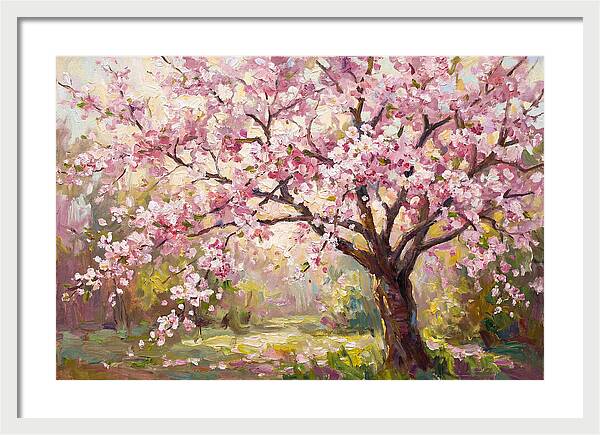 Blossom Tree In Full Bloom