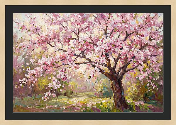 Blossom Tree In Full Bloom
