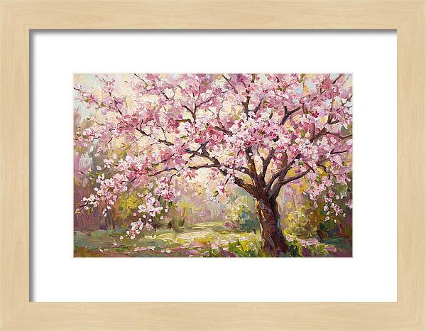 Blossom Tree In Full Bloom