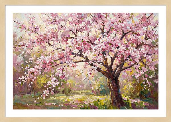 Blossom Tree In Full Bloom