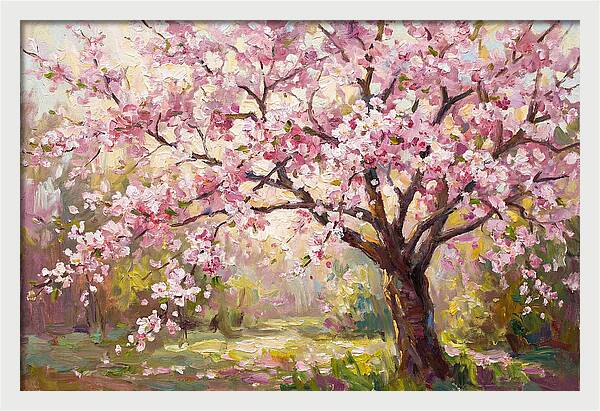Blossom Tree In Full Bloom