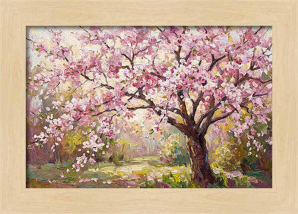 Blossom Tree In Full Bloom