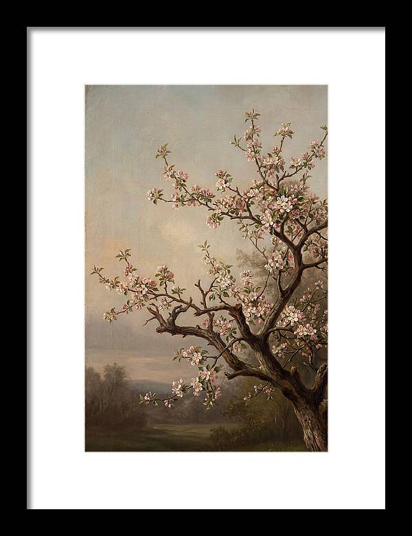 Blossoming Serenity In Nature