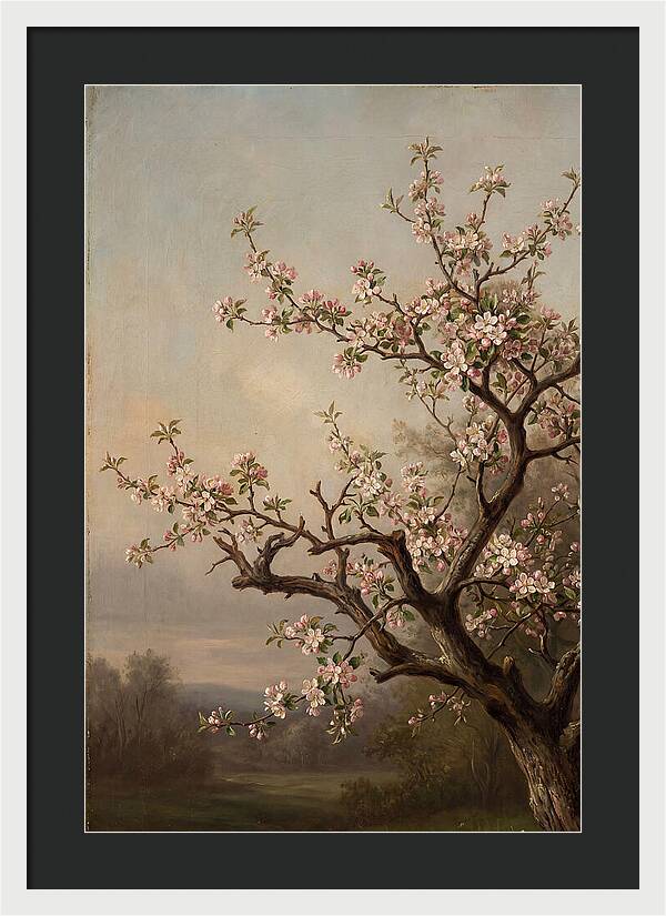 Blossoming Serenity In Nature