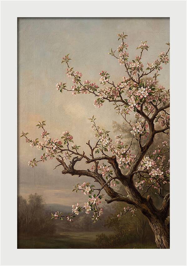 Blossoming Serenity In Nature
