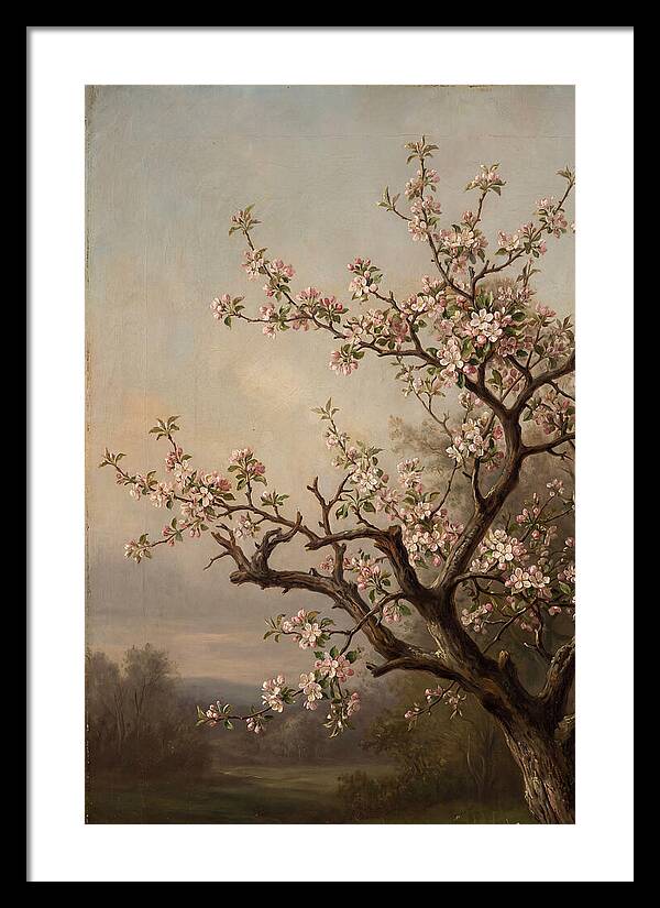 Blossoming Serenity In Nature