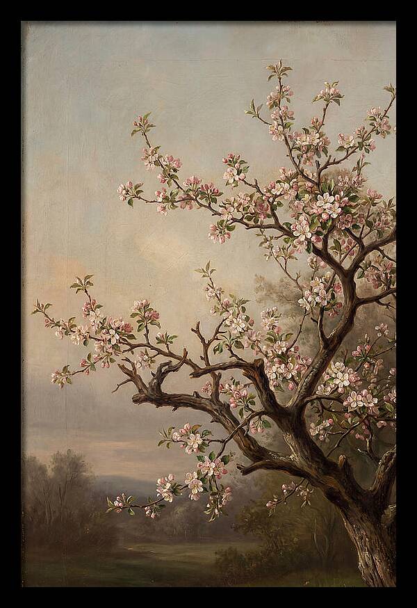 Blossoming Serenity In Nature