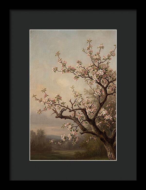 Blossoming Serenity In Nature