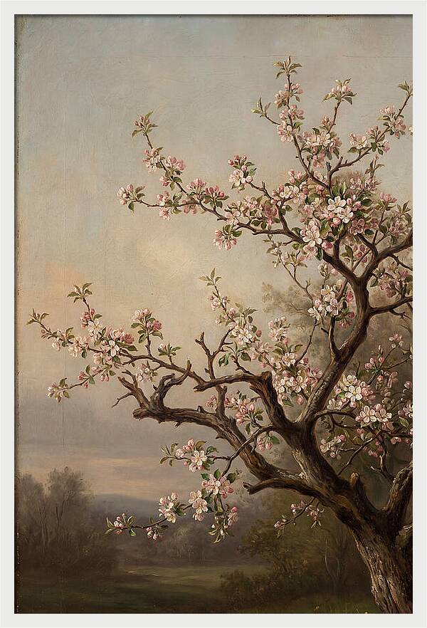 Blossoming Serenity In Nature