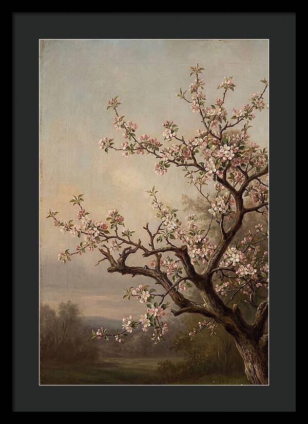 Blossoming Serenity In Nature