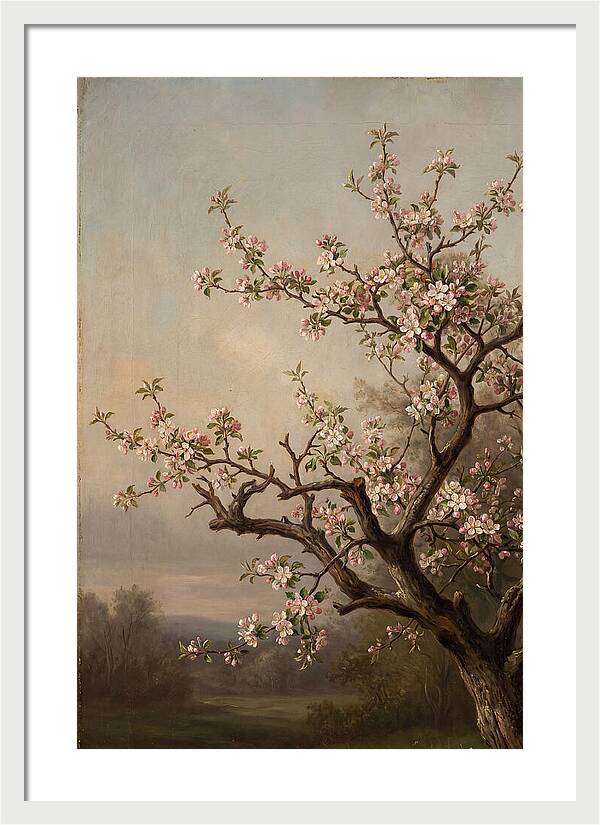 Blossoming Serenity In Nature
