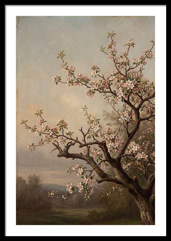 Blossoming Serenity In Nature