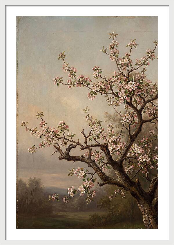 Blossoming Serenity In Nature