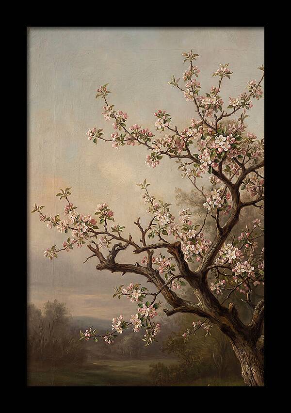 Blossoming Serenity In Nature