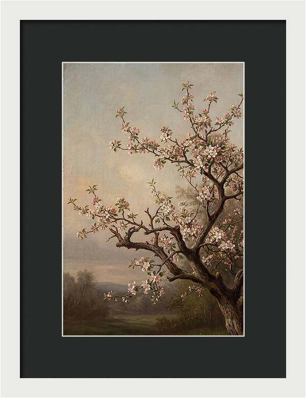 Blossoming Serenity In Nature