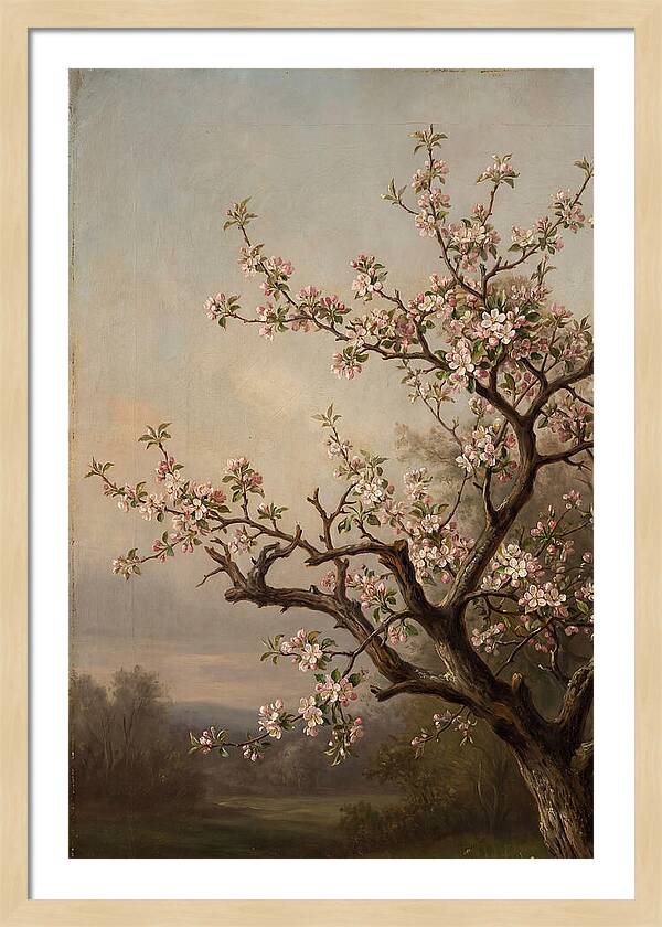 Blossoming Serenity In Nature