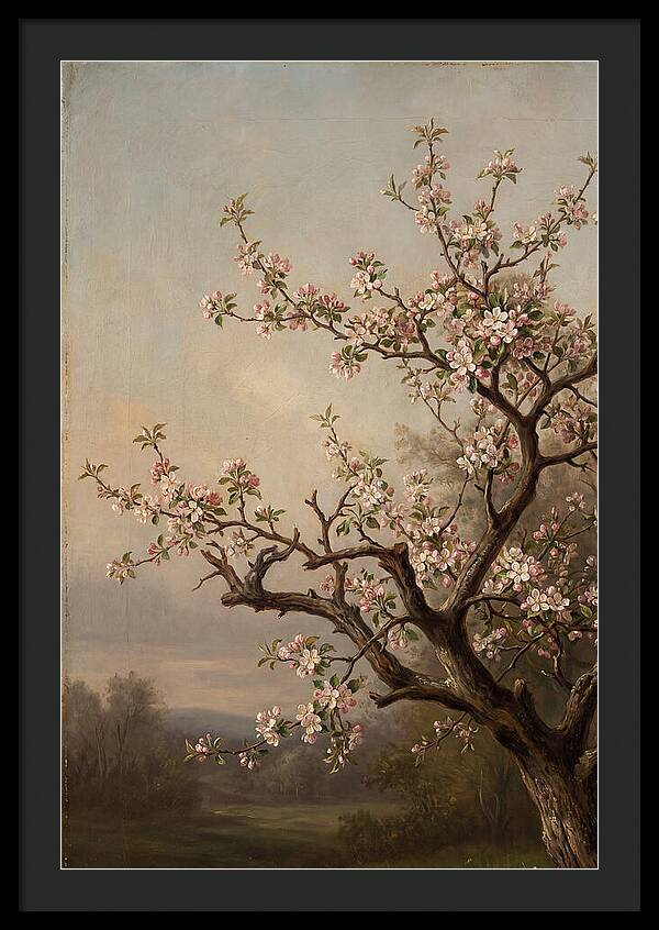 Blossoming Serenity In Nature