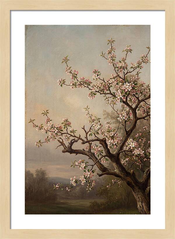 Blossoming Serenity In Nature