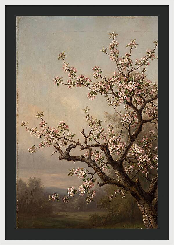 Blossoming Serenity In Nature