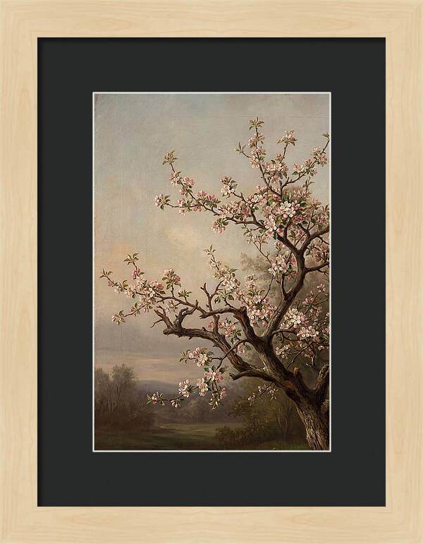 Blossoming Serenity In Nature
