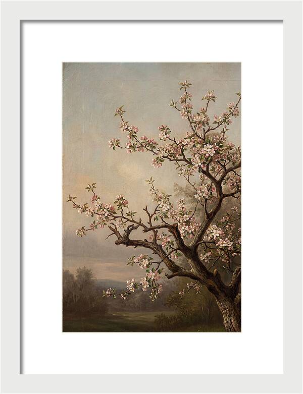 Blossoming Serenity In Nature